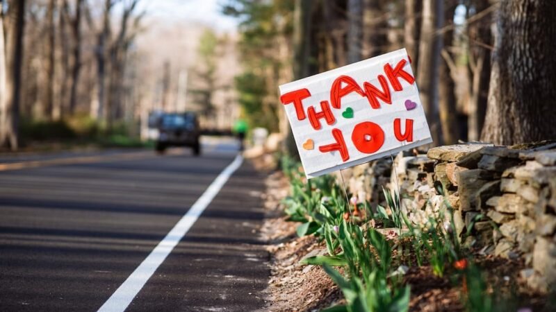 20 Professional Ways to Say “Thank You for the Update”